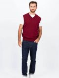 Pullover senza maniche Fynch-hatton - bordeaux - 1