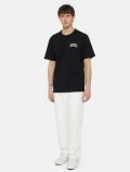 T-shirt manica corta Dickies - black - 1