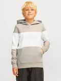 Maglia in felpa Jack & Jones - beige - 0