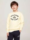 Maglia in felpa Tommy Hilfiger - white